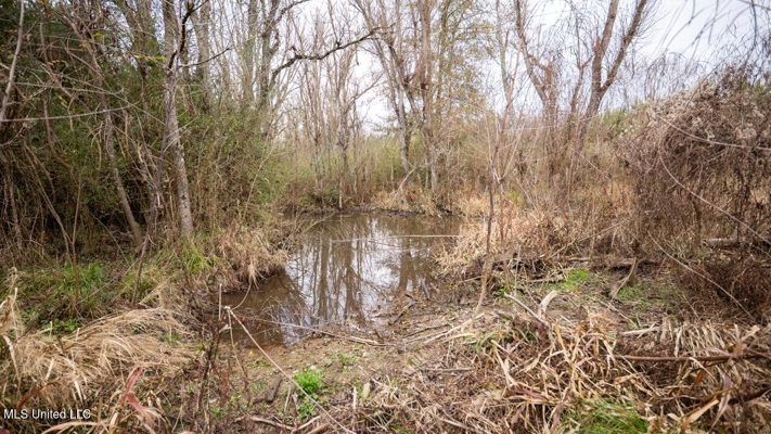 283± Acres for Sale Amite County, Mississippi