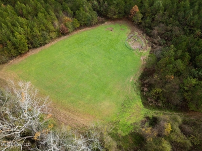 283± Acres for Sale Amite County, Mississippi - image 1