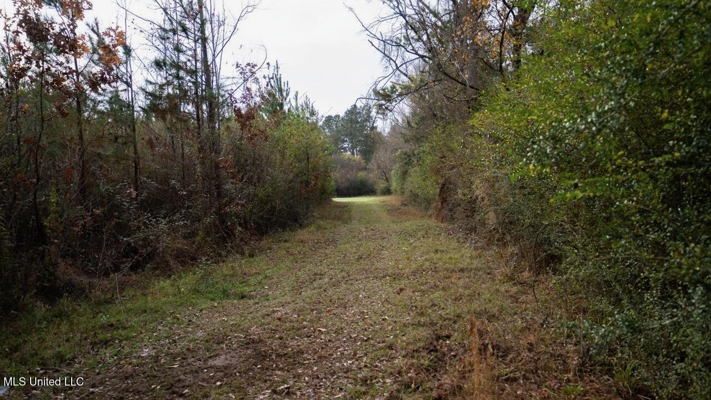 283± Acres for Sale Amite County, Mississippi