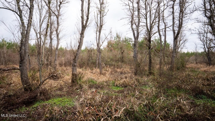 283± Acres for Sale Amite County, Mississippi
