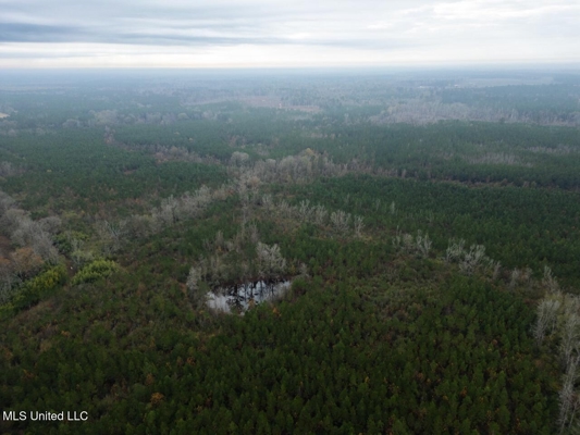 283± Acres for Sale Amite County, Mississippi