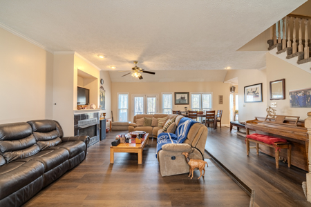 Spacious Home for Sale in Steeple Chase Subdivision of Jackson TN - image 6