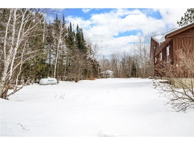 Rare 40-Acre Find: Country Rambler with Wildlife & Room to Grow - image 5