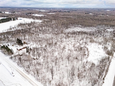 Rare 40-Acre Find: Country Rambler with Wildlife & Room to Grow - image 26
