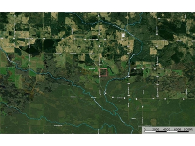 Rare 40-Acre Find: Country Rambler with Wildlife & Room to Grow - image 40