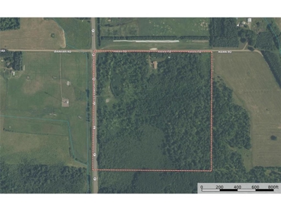Rare 40-Acre Find: Country Rambler with Wildlife & Room to Grow - image 39