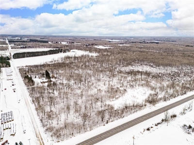 Rare 40-Acre Find: Country Rambler with Wildlife & Room to Grow - image 27