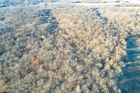 Income-Producing 80± Acre Hunting Farm with Prime Access - image 17