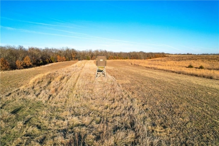 Income-Producing 80± Acre Hunting Farm with Prime Access - image 9