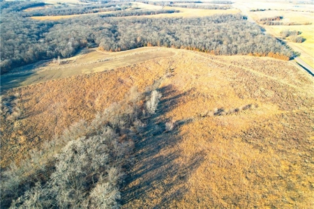 Income-Producing 80± Acre Hunting Farm with Prime Access - image 15