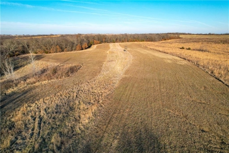 Income-Producing 80± Acre Hunting Farm with Prime Access - image 6