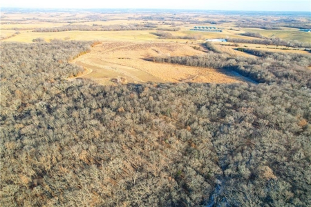 Income-Producing 80± Acre Hunting Farm with Prime Access - image 19
