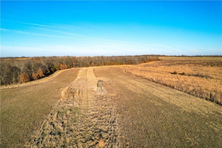 Income-Producing 80± Acre Hunting Farm with Prime Access - image 10