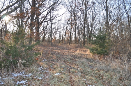 Income-Producing 80± Acre Hunting Farm with Prime Access - image 3