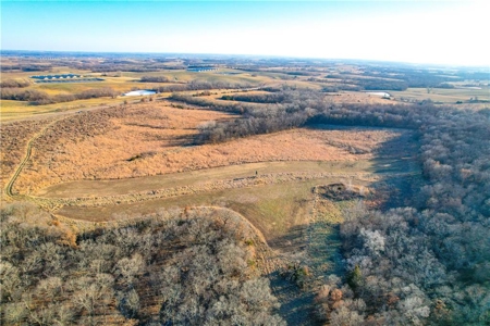 Income-Producing 80± Acre Hunting Farm with Prime Access - image 21