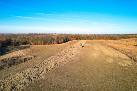 Income-Producing 80± Acre Hunting Farm with Prime Access - image 7