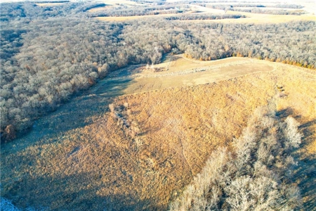 Income-Producing 80± Acre Hunting Farm with Prime Access - image 16