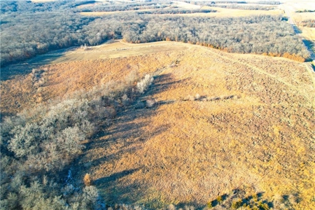 Income-Producing 80± Acre Hunting Farm with Prime Access - image 14