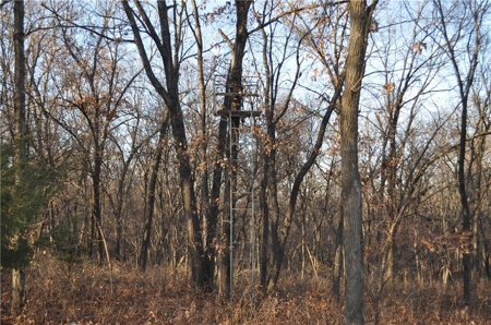 Income-Producing 80± Acre Hunting Farm with Prime Access - image 4