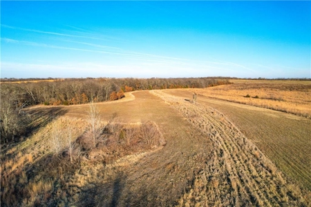 Income-Producing 80± Acre Hunting Farm with Prime Access - image 11