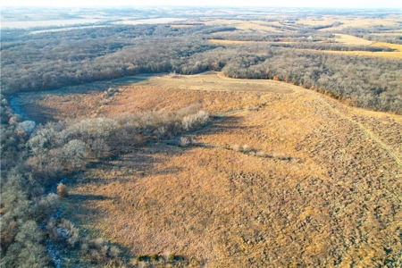 Income-Producing 80± Acre Hunting Farm with Prime Access - image 13