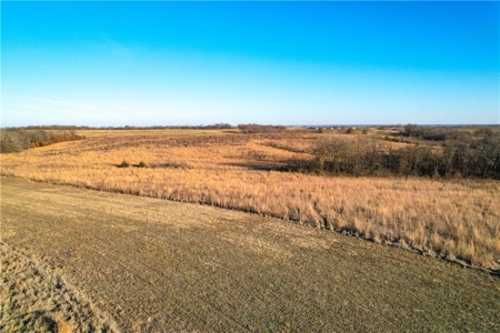 Income-Producing 80± Acre Hunting Farm with Prime Access - image 8