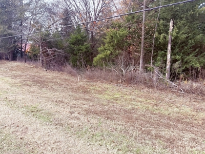 6.7 Acres Winnsboro Wood County East Texas Land for Sale - image 5