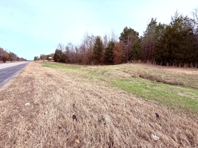6.7 Acres Winnsboro Wood County East Texas Land for Sale - image 2