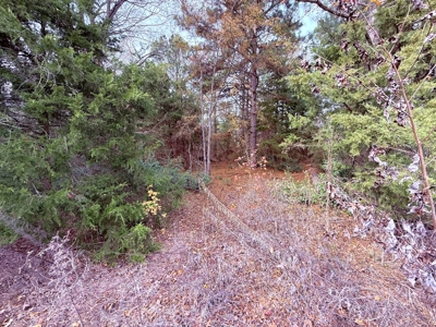 6.7 Acres Winnsboro Wood County East Texas Land for Sale - image 6