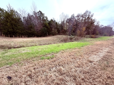 6.7 Acres Winnsboro Wood County East Texas Land for Sale - image 3