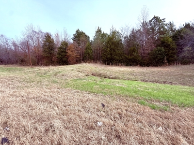 6.7 Acres Winnsboro Wood County East Texas Land for Sale - image 1