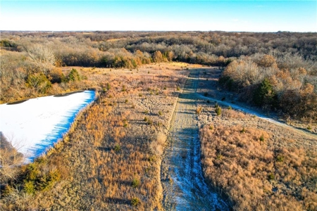60± Acre Income-Producing Recreational Farm - image 4