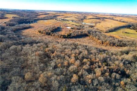 60± Acre Income-Producing Recreational Farm - image 22