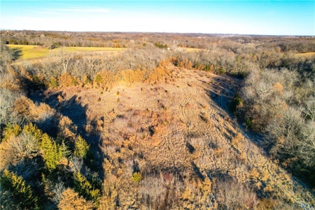 60± Acre Income-Producing Recreational Farm - image 7