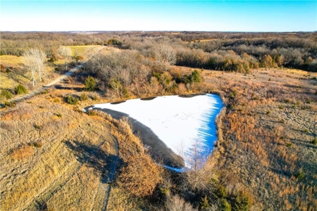 60± Acre Income-Producing Recreational Farm - image 5
