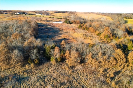 60± Acre Income-Producing Recreational Farm - image 8