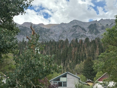 3 Bedroom Mountain Home for Sale in Ouray, Colorado - image 18