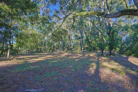 Prime Location 5-Acre Zoned Commercial Lot High Springs Florida - image 19