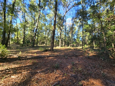 Prime Location 5-Acre Zoned Commercial Lot High Springs Florida - image 12