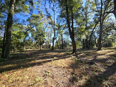 Prime Location 5-Acre Zoned Commercial Lot High Springs Florida - image 13