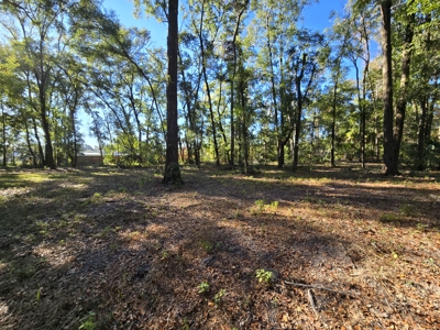 Prime Location 5-Acre Zoned Commercial Lot High Springs Florida - image 14