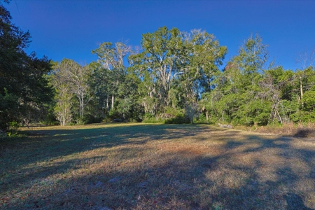 Prime Location 5-Acre Zoned Commercial Lot High Springs Florida - image 16