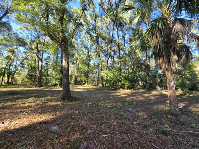 Prime Location 5-Acre Zoned Commercial Lot High Springs Florida - image 11