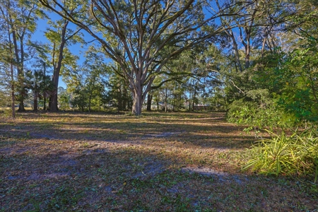 Prime Location 5-Acre Zoned Commercial Lot High Springs Florida - image 18