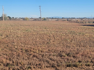 Build Ready Half Acre Lot in Moriarty New Mexico - image 1