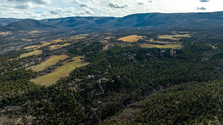 Bull Basin Meadows Ranch - Colorado Mountain Hunting Ranch - image 16