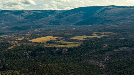 Bull Basin Meadows Ranch - Colorado Mountain Hunting Ranch - image 14