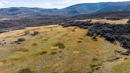 Bull Basin Meadows Ranch - Colorado Mountain Hunting Ranch - image 19