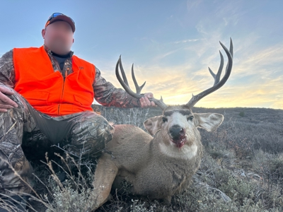 Bull Basin Meadows Ranch - Colorado Mountain Hunting Ranch - image 4