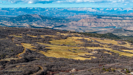 Bull Basin Meadows Ranch - Colorado Mountain Hunting Ranch - image 22